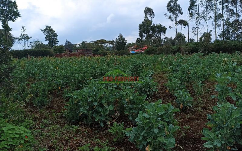 Prime Half Acre Land For Sale In Limuru, Kamandura.
