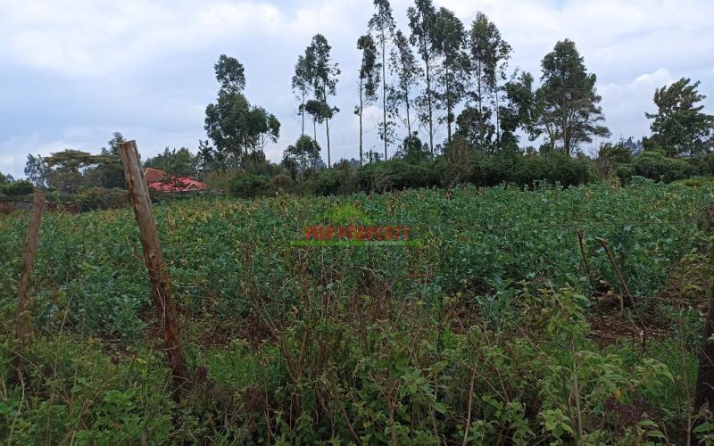 Prime Half Acre Land For Sale In Limuru, Kamandura.
