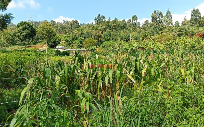 Plot For Sale In Kerwa, Muguga