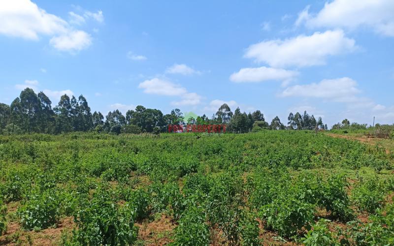 Residential Or Investment Plots For Sale In Ng’amba, Kikuyu