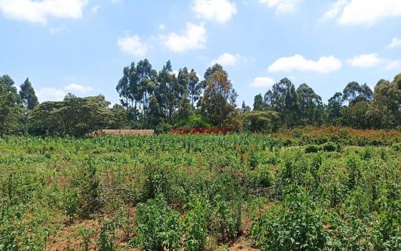Plots For Sale In Ng’amba, Kikuyu