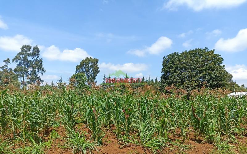 Residential Or Investment Plots For Sale In Ng’amba, Kikuyu