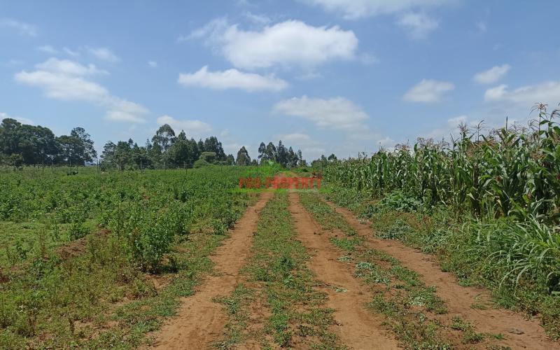 Plots For Sale In Ng’amba, Kikuyu