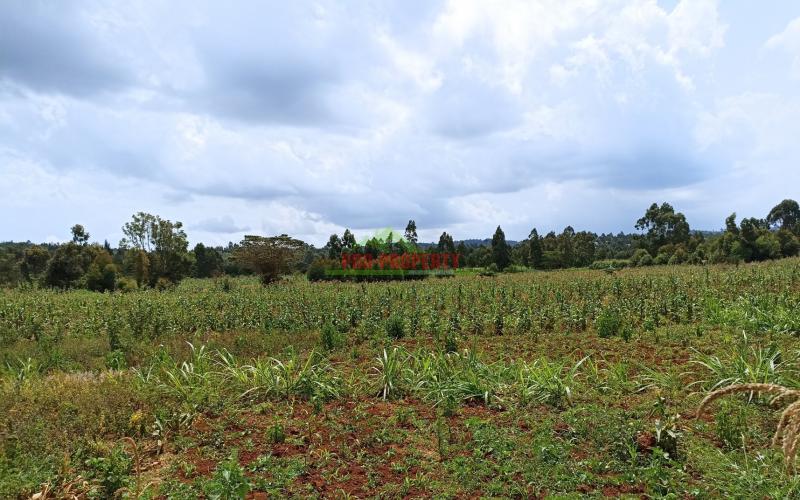 Residential Plots For Sale In Lusigetti