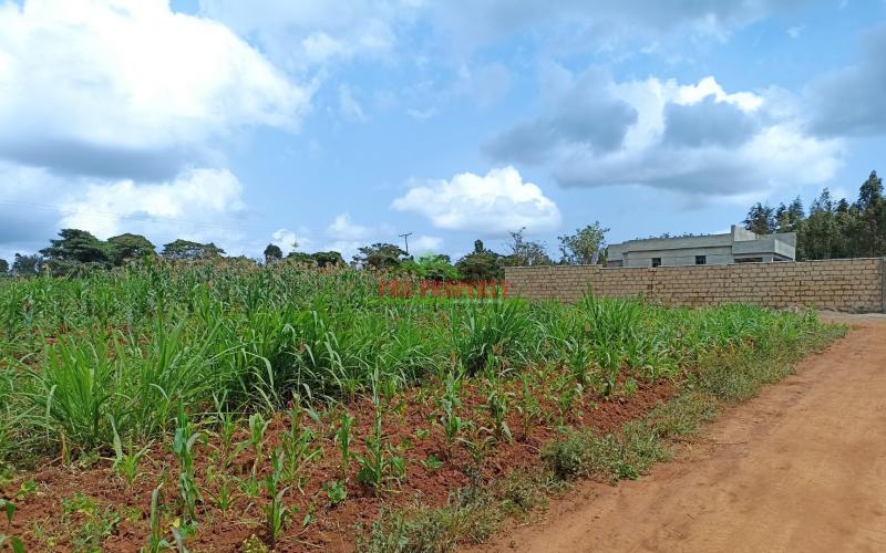 Residential Plots For Sale In Lusigetti