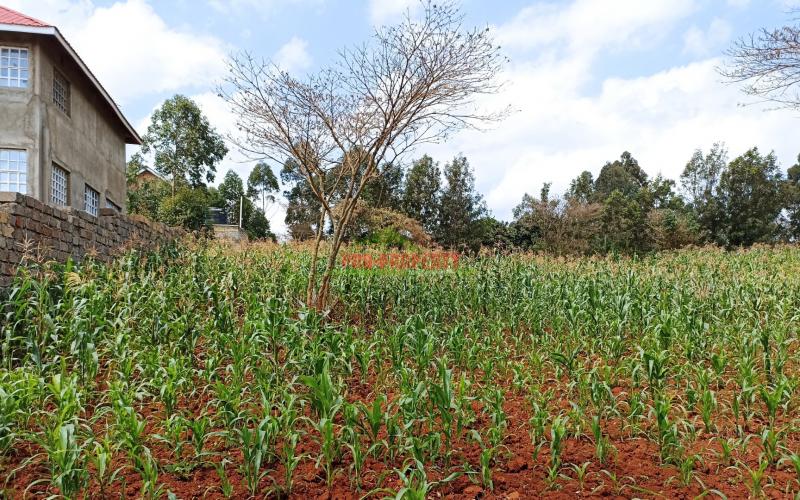 Quarter Acre For Sale In Kikuyu Gikambura, Behind Nairobi Ndogo