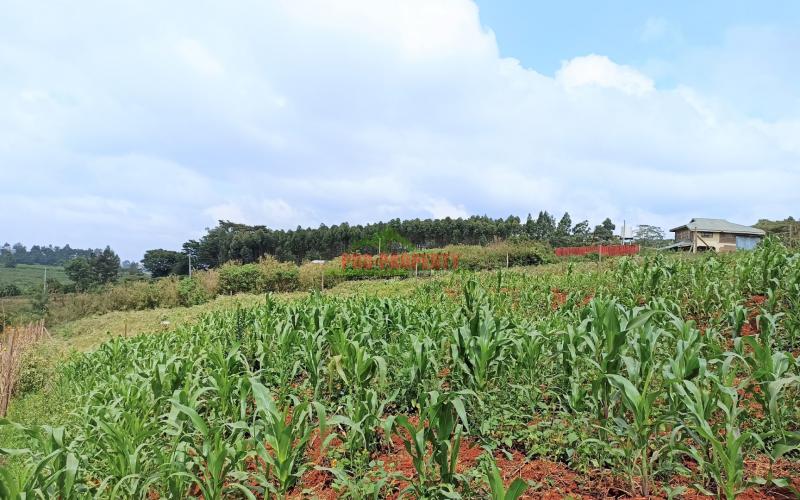 Prime Residential Plot For Sale In Kikuyu, Ondiri