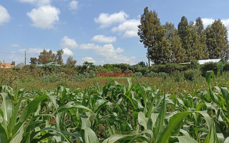 Residential Plot For Sale In Kikuyu, Ondiri