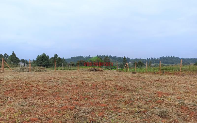 Prime Plot For Sale In Kikuyu, Lusigetti (rose Gate)