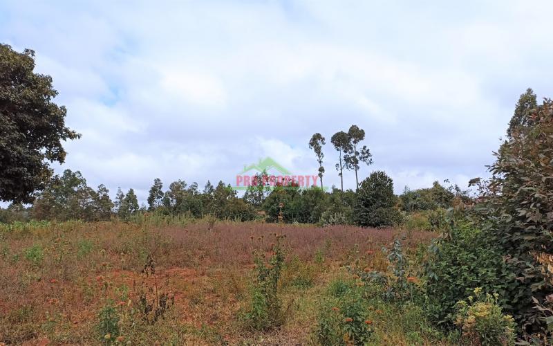50 By 100ft Plots For Sale In Kikuyu, Lusigetti – Kiambu County