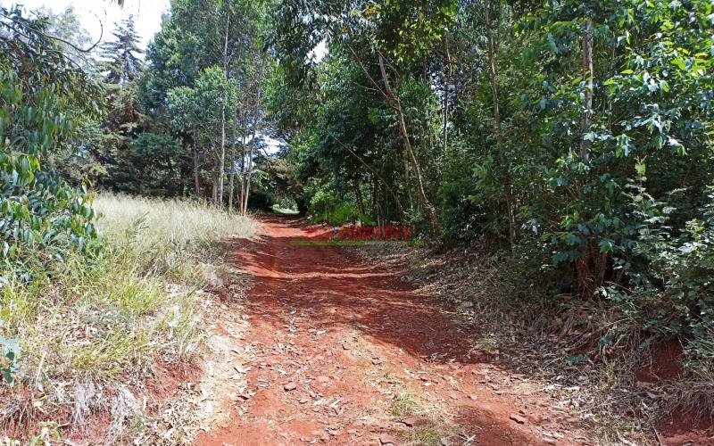 Quarter Acre Prime Land For Sale In Kikuyu, Ondiri