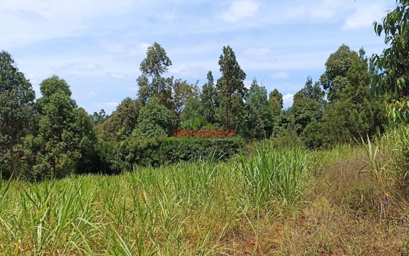 Quarter Acre Prime Land For Sale In Kikuyu, Ondiri