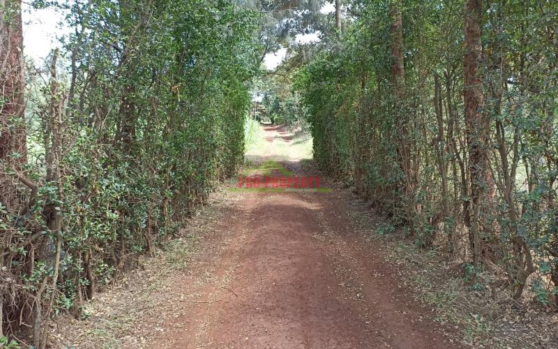 Prime Plot For Sale In Ondiri, Kikuyu Area.