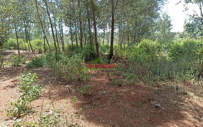 100 By 100ft Plot For Sale In Ondiri, Karai – Kiambu County