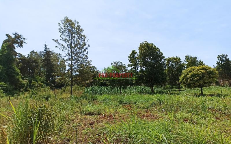 Half Acre Prime Land For Sale In Kikuyu, Ondiri.