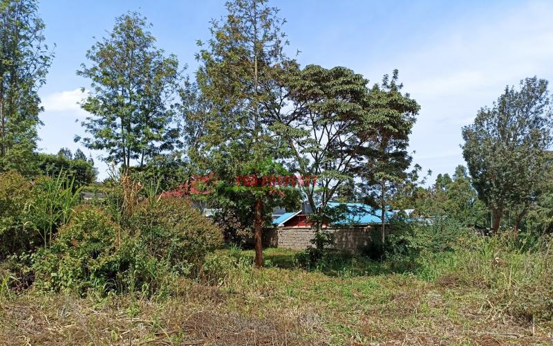 Half Acre Prime Land For Sale In Kikuyu, Ondiri.
