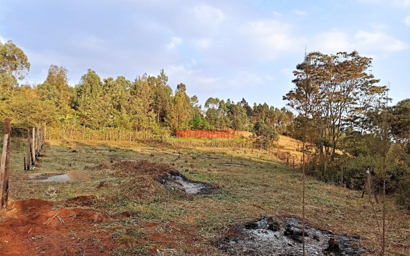 Prime Residential Plot For Sale In Kikuyu, Kamangu (migumoini Area)