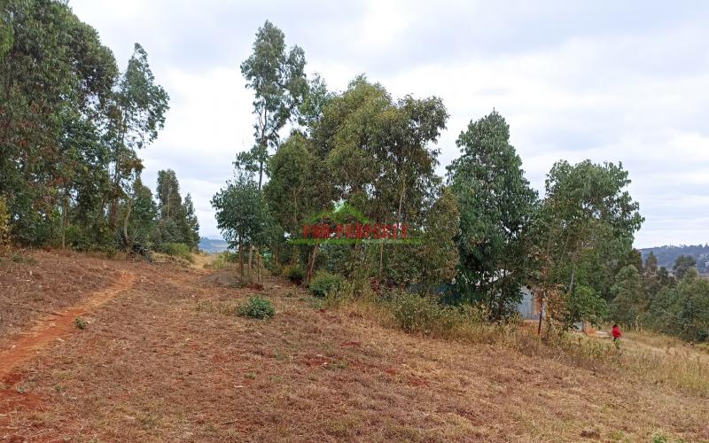 Residential Plot For Sale In Kikuyu, Karai (migumoini)