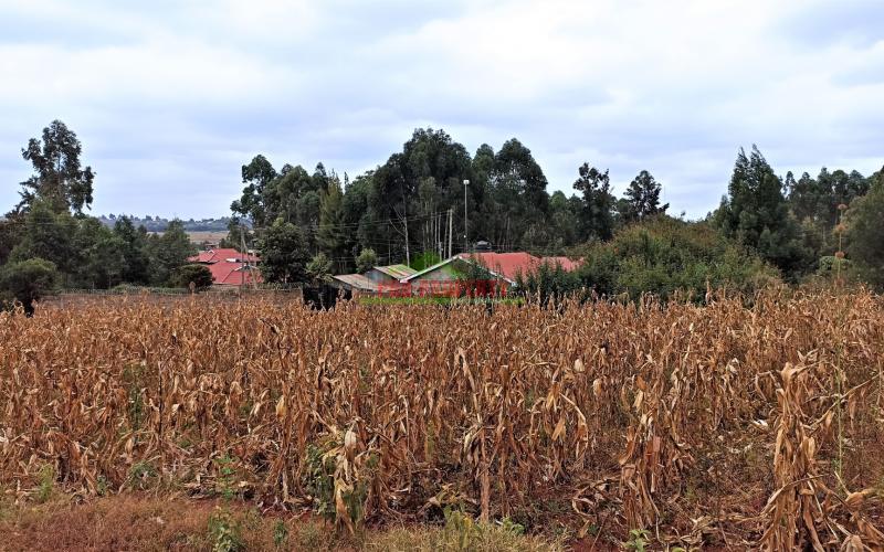 Prime Residential Plots For Sale In Kikuyu (migumoini)