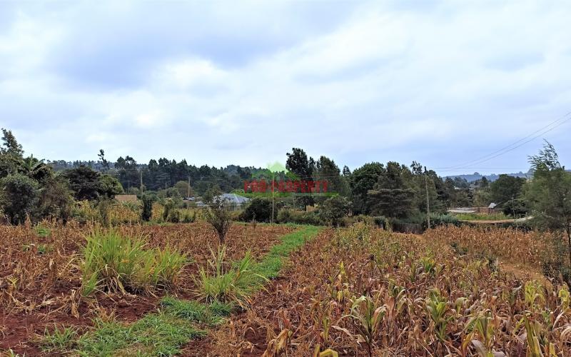 Prime Residential Plots For Sale In Kikuyu (migumoini)