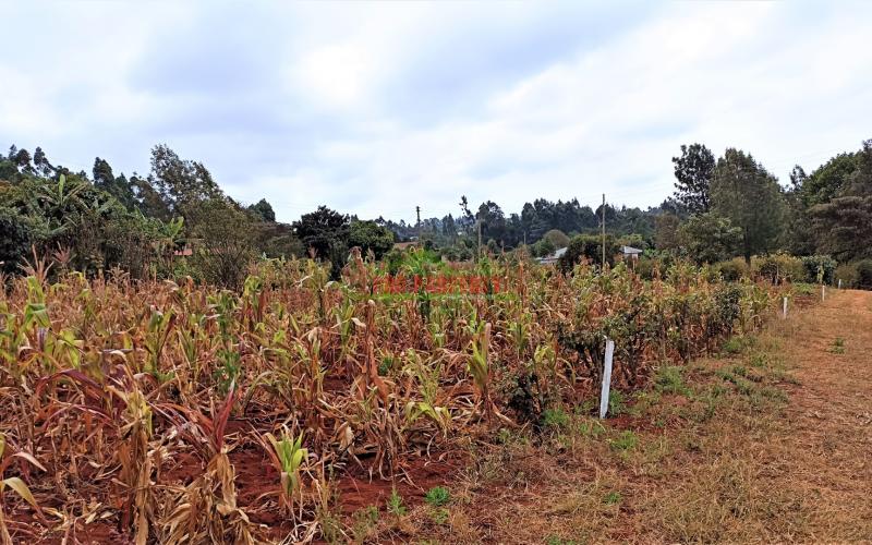 Prime Residential Plots For Sale In Kikuyu (migumoini)
