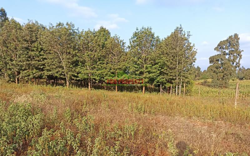 Prime One Acre Land For Sale In Kikuyu, Ng’amba Area