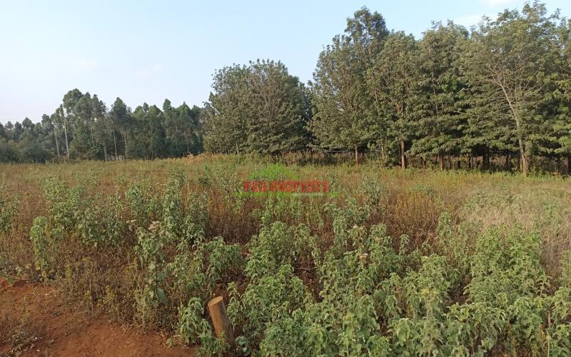 Prime One Acre Land For Sale In Kikuyu, Ng’amba Area