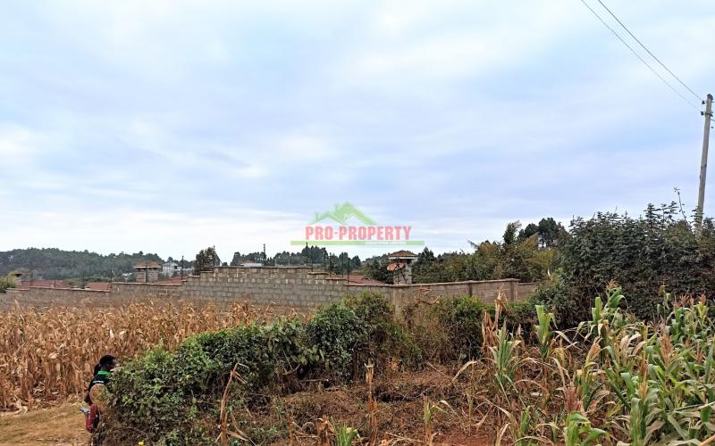 Residential Plot For Sale In Kamangu, Gewa Road