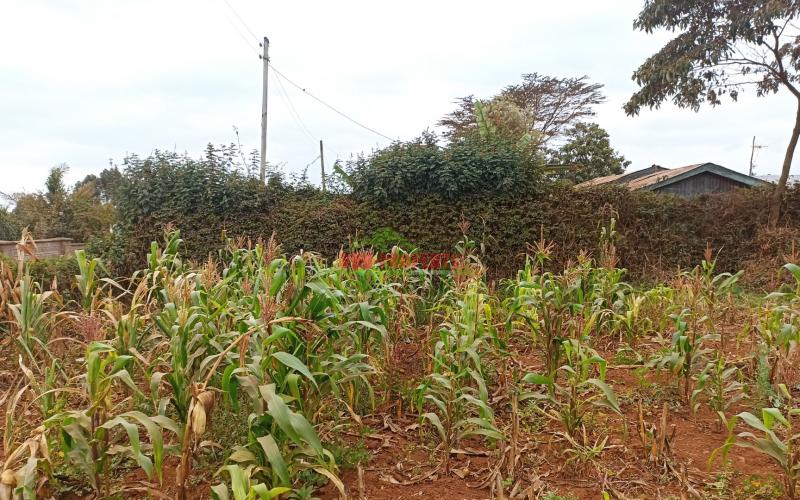 Residential Plot For Sale In Kamangu, Gewa Road