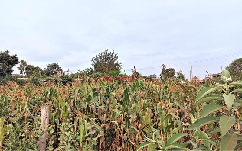 Commercial Touching Tarmac Quarter Acre Plot For Sale In Kikuyu’s Gikambura