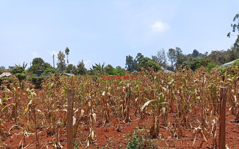 Plot For Sale In Gikambura, Kikuyu Near Gicharani Primary