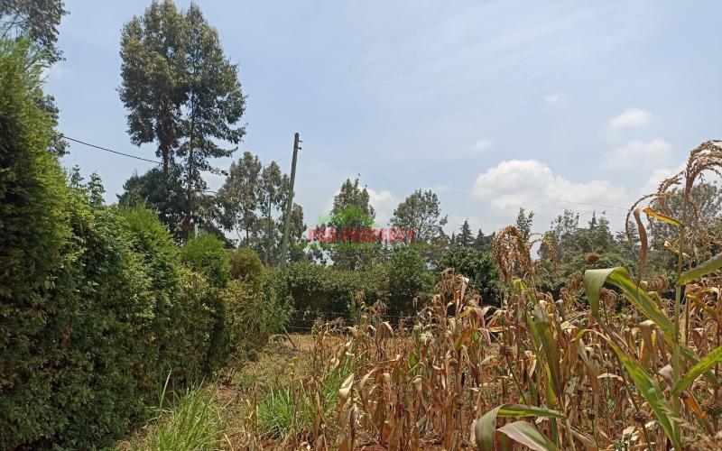 Plot For Sale In Gikambura, Kikuyu Near Gicharani Primary