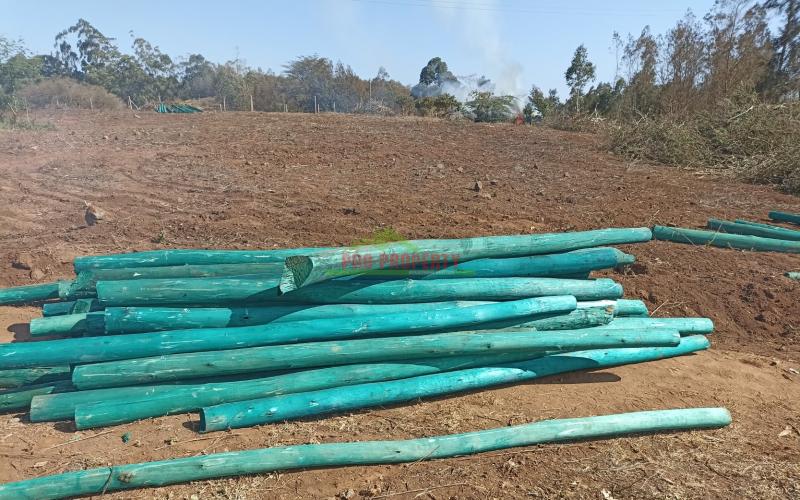 Residential Plots For Sale In Kamangu (gated Community Concept)