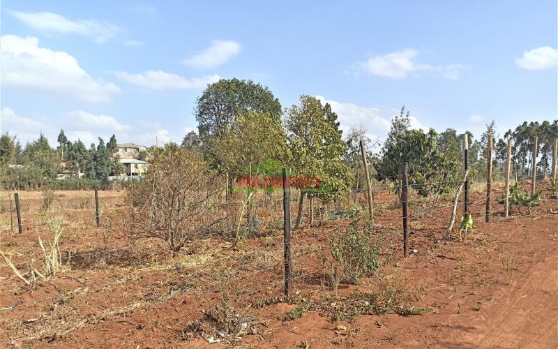 Residential Plot For Sale In Kamangu, Migumoini