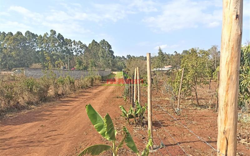 Residential Plot For Sale In Kamangu, Migumoini