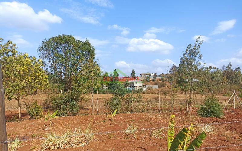 Residential Plot For Sale In Kamangu, Migumoini