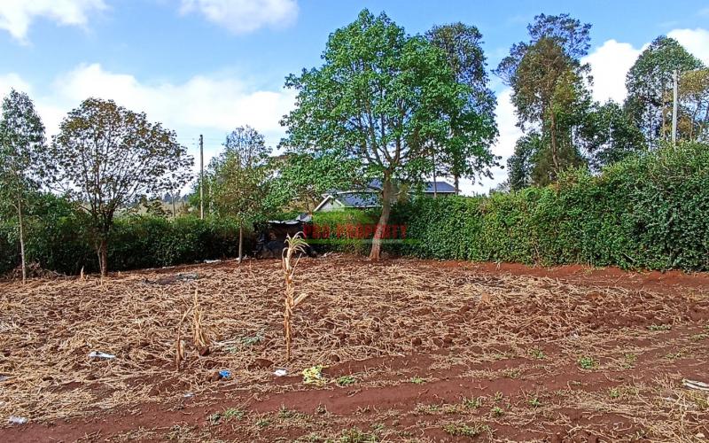 Residential Plot For Sale In Kikuyu At Gikambura.