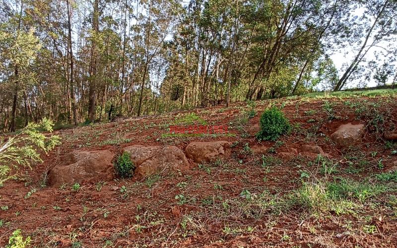 Prime Residential Plot For Sale In Kikuyu, Gikambura (near Oakwood Hospital)