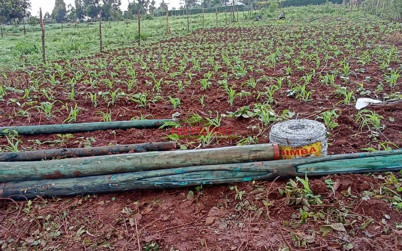 Residential Plot For Sale In Kikuyu, Ng’amba Road