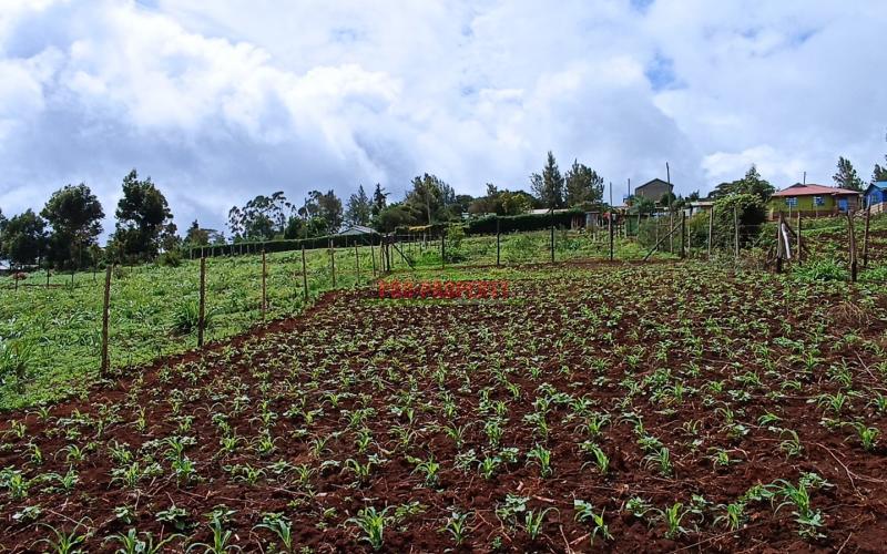 Residential Plot For Sale In Kikuyu, Ng’amba Road
