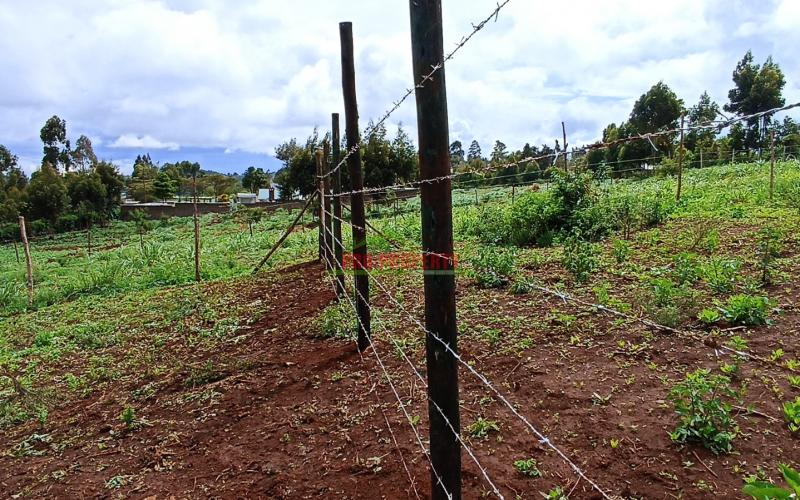 Residential Plot For Sale In Kikuyu, Ng’amba Road
