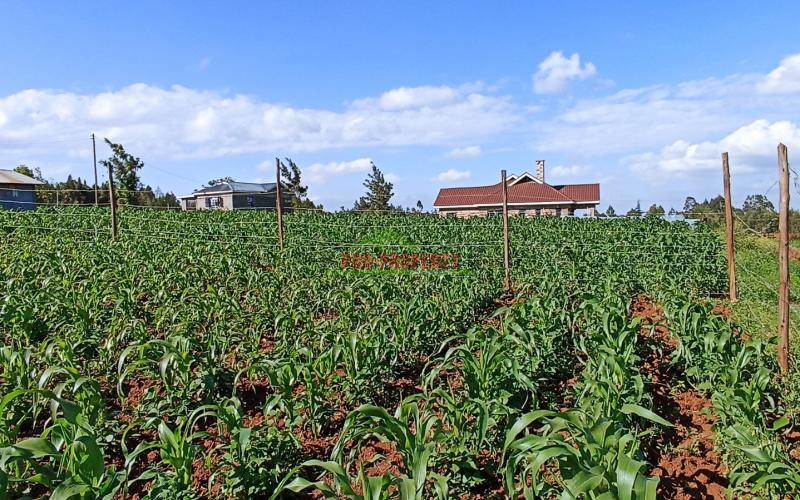 Residential Plot For Sale In Kikuyu, Kamangu