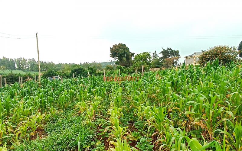 50 By 100 Plot For Sale In Kamangu, Kikuyu (kiambu County)
