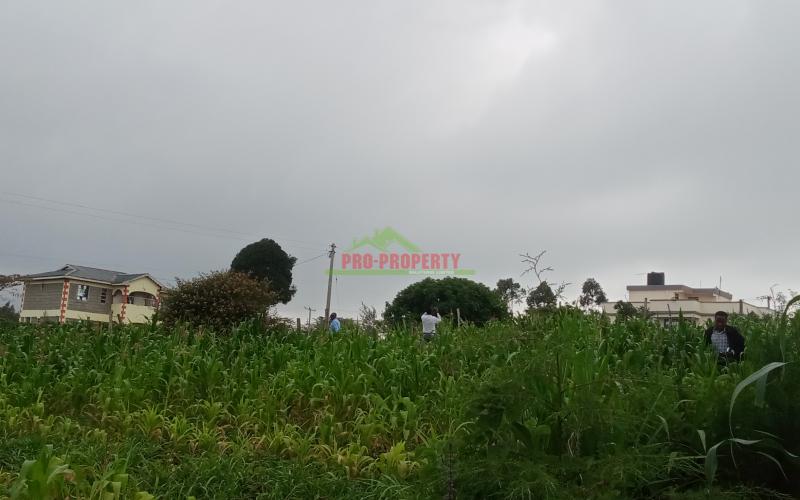 Prime 60*100 Plot For Sale In Kikuyu, Kamangu