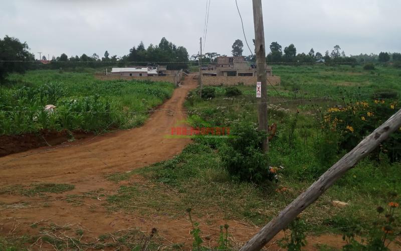 Prime 50 By 100 Plots For Sale  In Kikuyu , Lusingeti