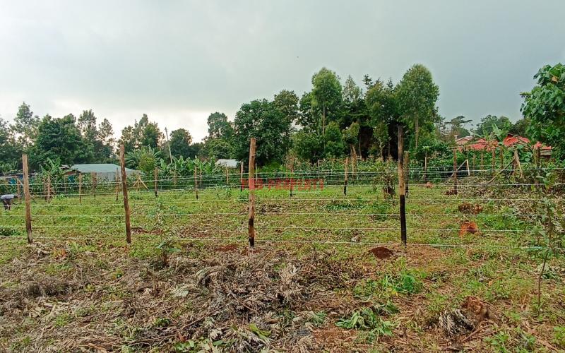 Residential Plot For Sale In Kikuyu Mai-a-ihii, Near Alliance
