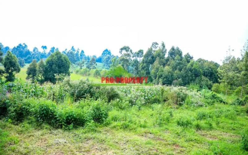 Prime  50 By 100 Residential Plot For Sale In Kikuyu,ondiri