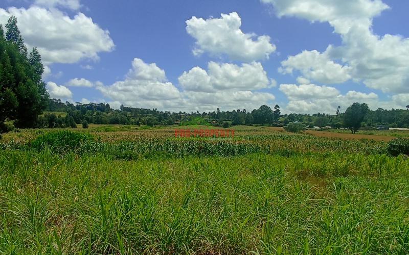 50 By 100 Feet Plots For Sale In Kikuyu Near Rose Gate Phase One