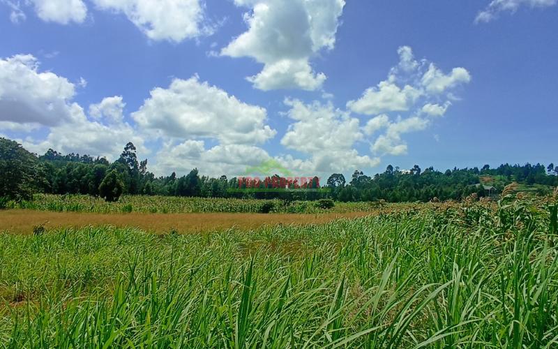 50 By 100 Feet Plots For Sale In Kikuyu Near Rose Gate Phase One