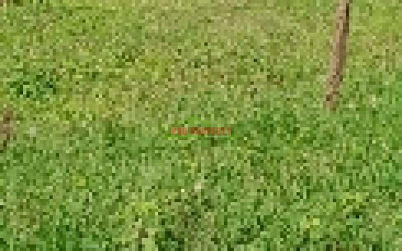 Prime Residential Plot For Sale In Kikuyu, Gikambura Along Jambu Tv
